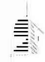 Fig. 23 - Method for treating vascular inflammation, improving skin beauty and improving male sexual function using ginseng berry