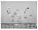 Fig. 01 - Edible Liquid Filled Polysaccharide Capsules