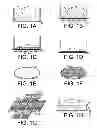 Fig. 02 - Three-dimensional vertically aligned functionalized multilayer graphene