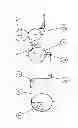 Fig. 02 - Process for stretching a film web