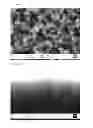 Fig. 06 - ETCHED SILICON STRUCTURES, METHOD OF FORMING ETCHED SILICON STRUCTURES AND USES THEREOF