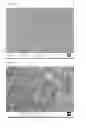 Fig. 09 - ETCHED SILICON STRUCTURES, METHOD OF FORMING ETCHED SILICON STRUCTURES AND USES THEREOF