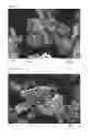 Fig. 22 - ETCHED SILICON STRUCTURES, METHOD OF FORMING ETCHED SILICON STRUCTURES AND USES THEREOF