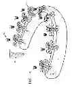 Fig. 02 - SUPPORT MECHANISM