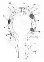 Fig. 07 - Advanced surgical simulation constructions and methods