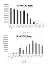 Fig. 07 - Method for detecting HIV-1 co-receptor tropism