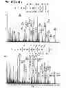 Fig. 07 - Assay for histidinyl hydroxylase activity