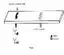 Fig. 02 - APPARATUS AND METHOD FOR LATERAL FLOW AFFINITY ASSAYS