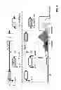 Fig. 05 - Chromatographic process for enrichment and isolation