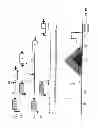 Fig. 12 - Chromatographic process for enrichment and isolation