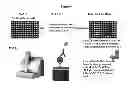 Fig. 02 - Highly sensitive cell-based assay to detect the presence of active botulinum neurotoxin serotype-A