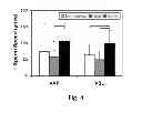 Fig. 05 - ANALYSIS AND SORTING OF MOTILE CELLS