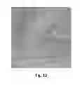 Fig. 13 - ANALYSIS AND SORTING OF MOTILE CELLS