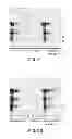 Fig. 09 - Method for producing insoluble aggregate of neurodegenerative-disease-related protein
