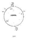 Fig. 02 - Host cell for the production of a compound of interest