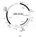 Fig. 07 - Host cell for the production of a compound of interest