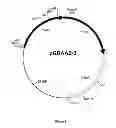 Fig. 09 - Host cell for the production of a compound of interest