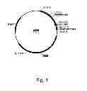 Fig. 02 - Methods of increasing secretion of polypeptides having biological activity