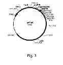 Fig. 04 - Methods of increasing secretion of polypeptides having biological activity