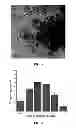 Fig. 03 - Compositions and methods for collecting algae