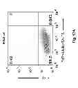 Fig. 34 - HSA-related compositions and methods of use