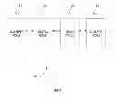 Fig. 06 - SYSTEMS AND METHODS FOR NUCLEIC ACID-BASED IDENTIFICATION