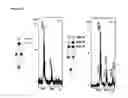 Fig. 17 - METHOD FOR EVALUATING CELL POPULATIONS