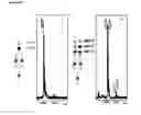 Fig. 22 - METHOD FOR EVALUATING CELL POPULATIONS