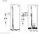 Fig. 23 - METHOD FOR EVALUATING CELL POPULATIONS