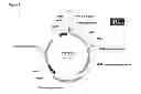 Fig. 09 - DCX mini-promoters