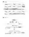 Fig. 02 - Method for ordering and introducing multiple genes into a genome