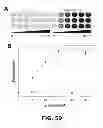 Fig. 85 - Three-component biosensors for detecting macromolecules and other analytes