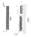 Fig. 04 - Package-on-package assembly and method