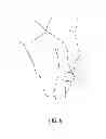 Fig. 10 - Golf swing training device for improving set up and swing plane of a golf swing
