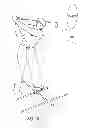 Fig. 16 - Golf swing training device for improving set up and swing plane of a golf swing