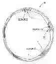 Fig. 01 - Takraw ball