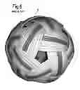 Fig. 05 - Takraw ball
