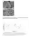 Fig. 05 - MICELLE-COATED CRYSTALLINE PARTICLES