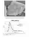Fig. 08 - MICELLE-COATED CRYSTALLINE PARTICLES