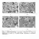 Fig. 09 - MICELLE-COATED CRYSTALLINE PARTICLES