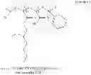 Fig. 15 - MICELLE-COATED CRYSTALLINE PARTICLES