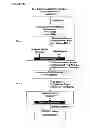 Fig. 04 - Multiplexed analyses of test samples