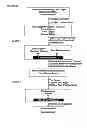 Fig. 05 - Multiplexed analyses of test samples