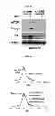 Fig. 07 - Use of leucyl tRNA synthetase