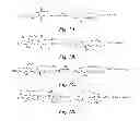 Fig. 02 - Methods and compositions for assaying the activity of one or more lysosomal enzymes
