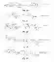 Fig. 03 - Methods and compositions for assaying the activity of one or more lysosomal enzymes