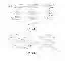 Fig. 19 - Methods and compositions for assaying the activity of one or more lysosomal enzymes