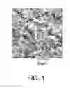 Fig. 02 - Ceramic particles with controlled pore and/or microsphere placement and/or size and method of making same