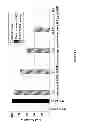 Fig. 12 - Complement factor B analogs and their uses