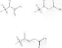 Fig. 05 - BROAD SPECTRUM ANTIBIOTICS